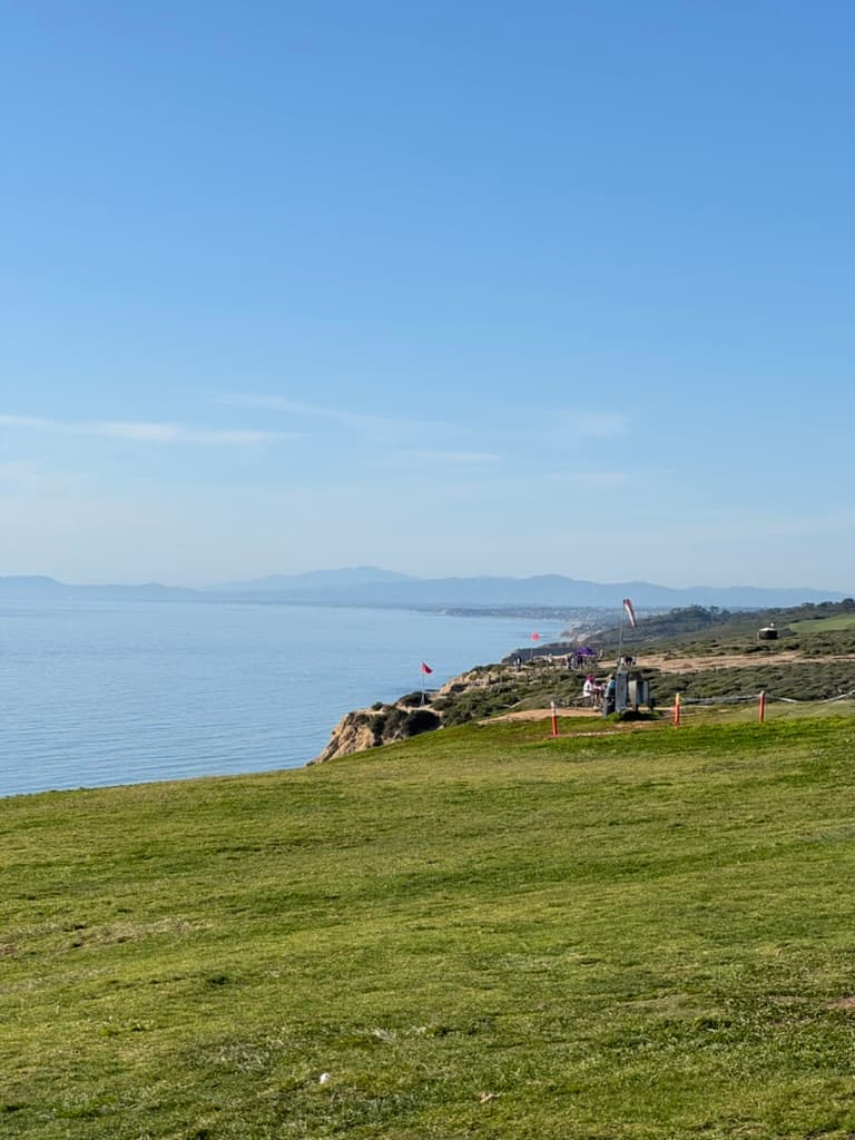 Coastal cliff and ocean