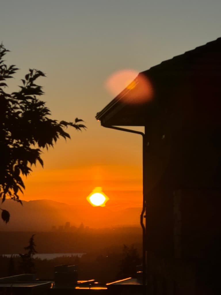 Sunset through rooftop