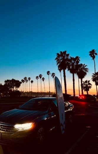 Surfboard and palms at dusk